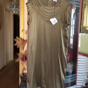 Brand new silk  European Designer dress